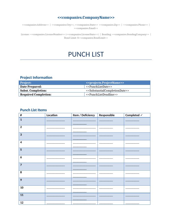 Preview of the Punch List template